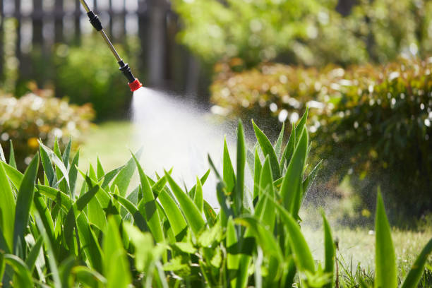 Tamper-Resistant Bait Stations for Rodents in Cortland West