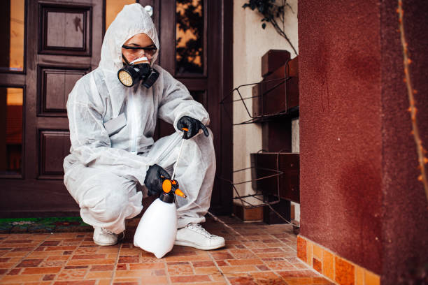 Attic and Crawl Space Rodent Treatment in Cortland West